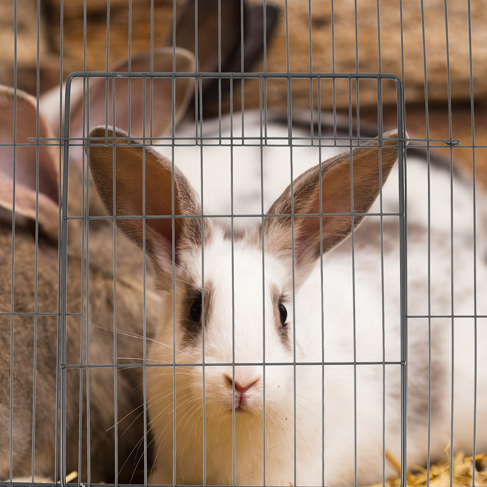 2Pcs Thickened Multipurpose Pe - Rabbit Cage Wire recension och pris