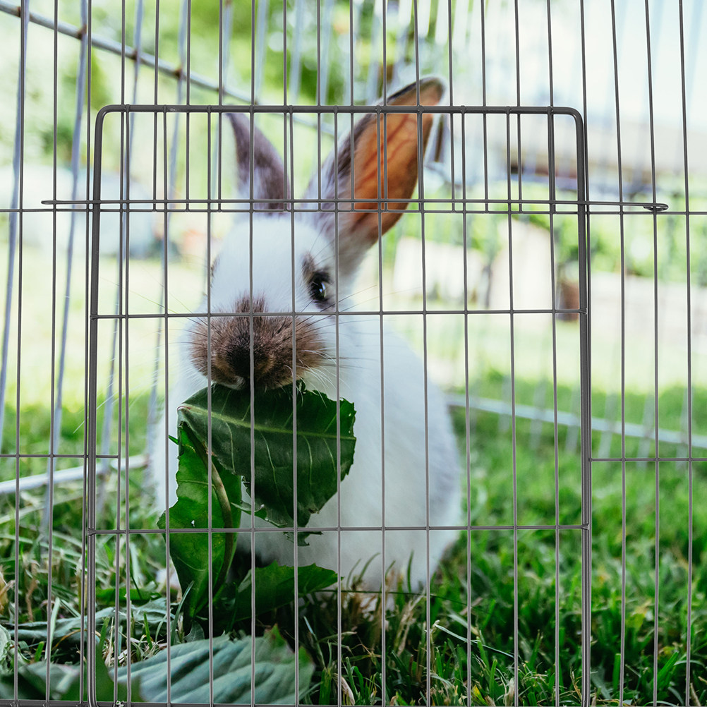 2Pcs Thickened Multipurpose Pe - Rabbit Cage Wire recension och pris